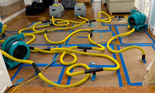 Professional Structural Drying And Dehumidification technician working in Hundred, WV